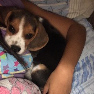 Meet your Posher, Eileen